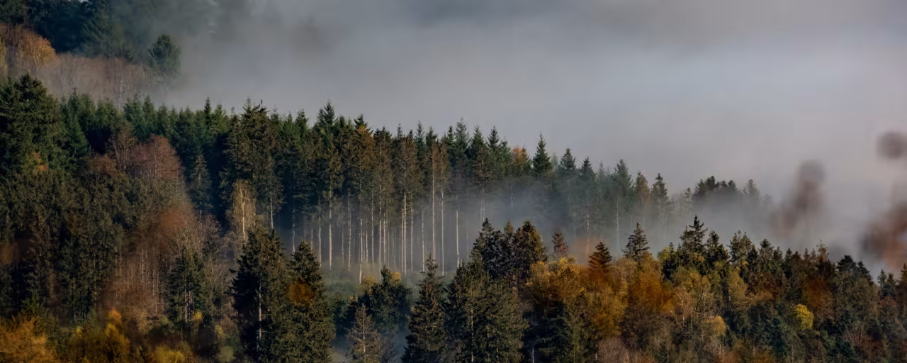 Climat
