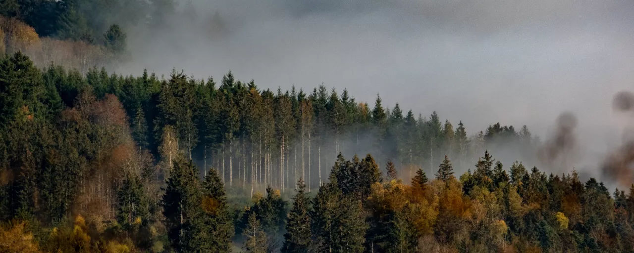 Climat