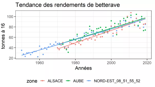 Rendements betterave