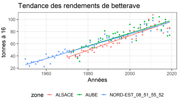 Rendements betterave