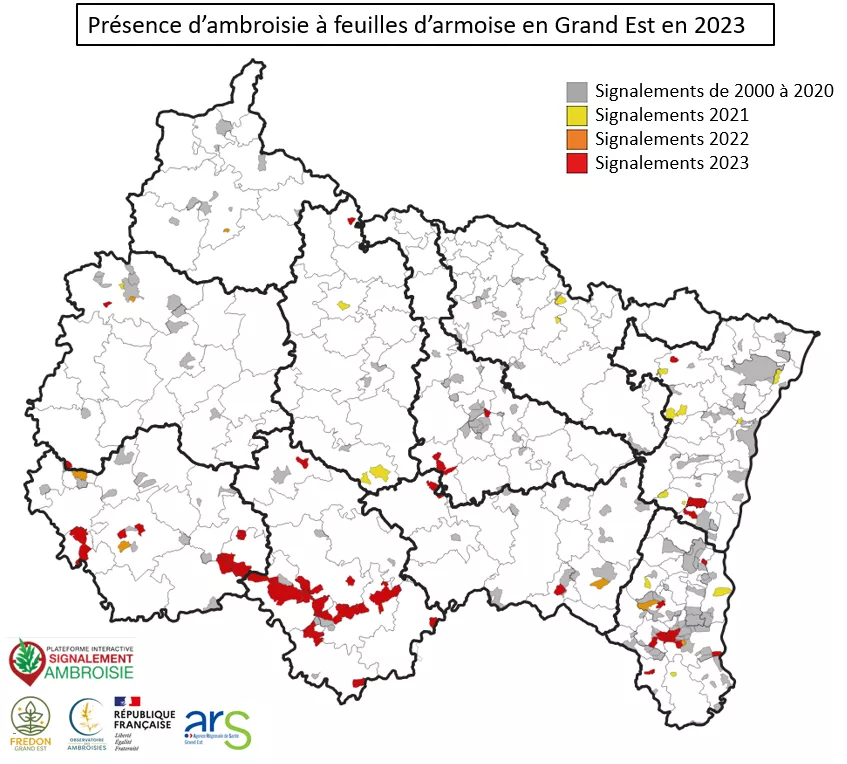 Carte de la présence ambroisie