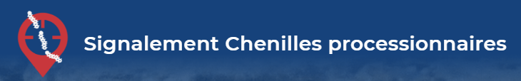 Comment participer à la lutte contre les chenilles processionnaires ?
